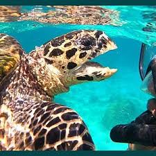 nosy tany kely;snorkcling spot,diving,beach ;marine park,nosy be tourist,trips;guide,excursion,MADAGASCAR